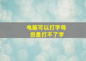 电脑可以打字母 但是打不了字